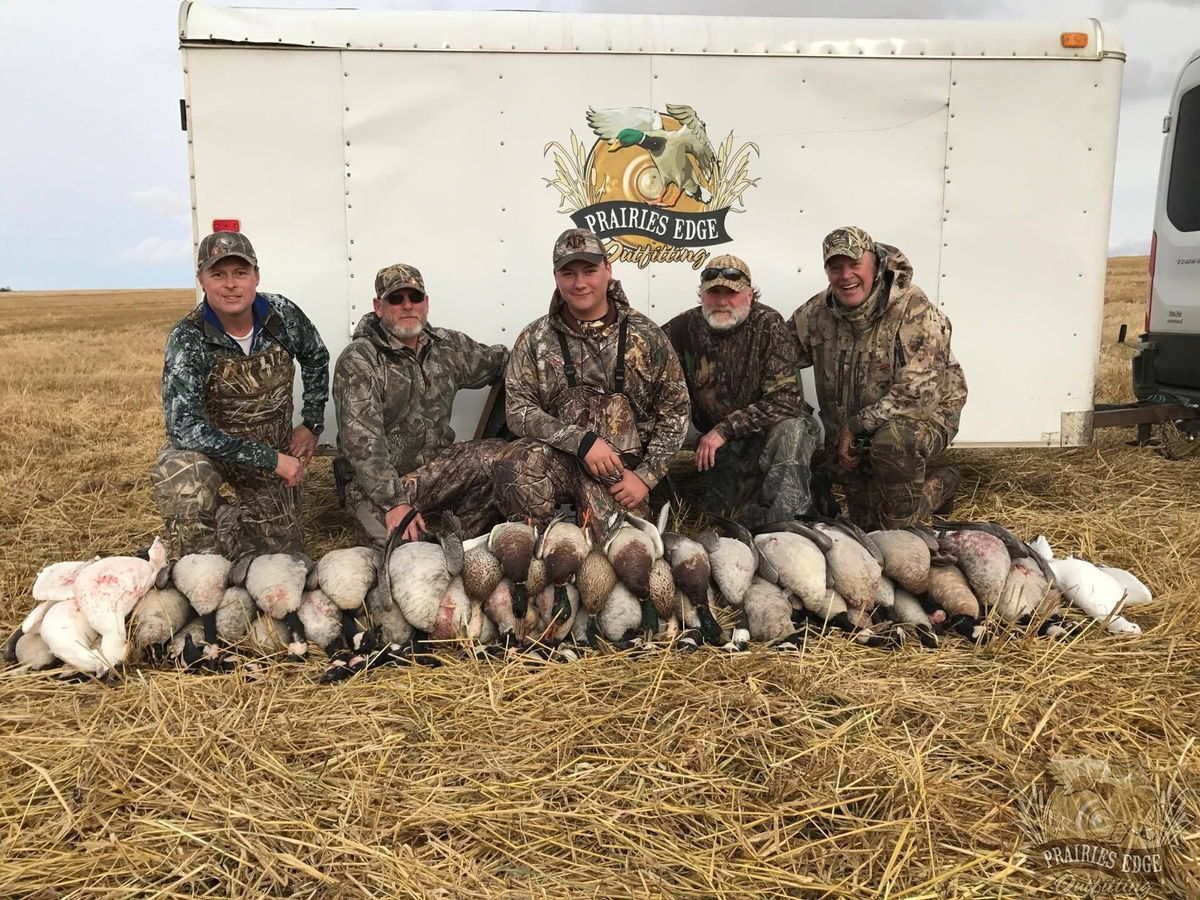 Saskatchewan Canada goose hunt — large field spread