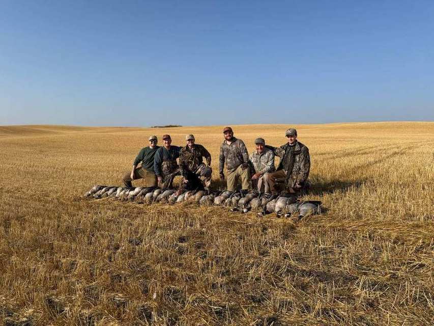 Book Your Guided Goose Hunt In Saskatchewan - Prairies Edge Outfitting Saskatchewan waterfowl blog