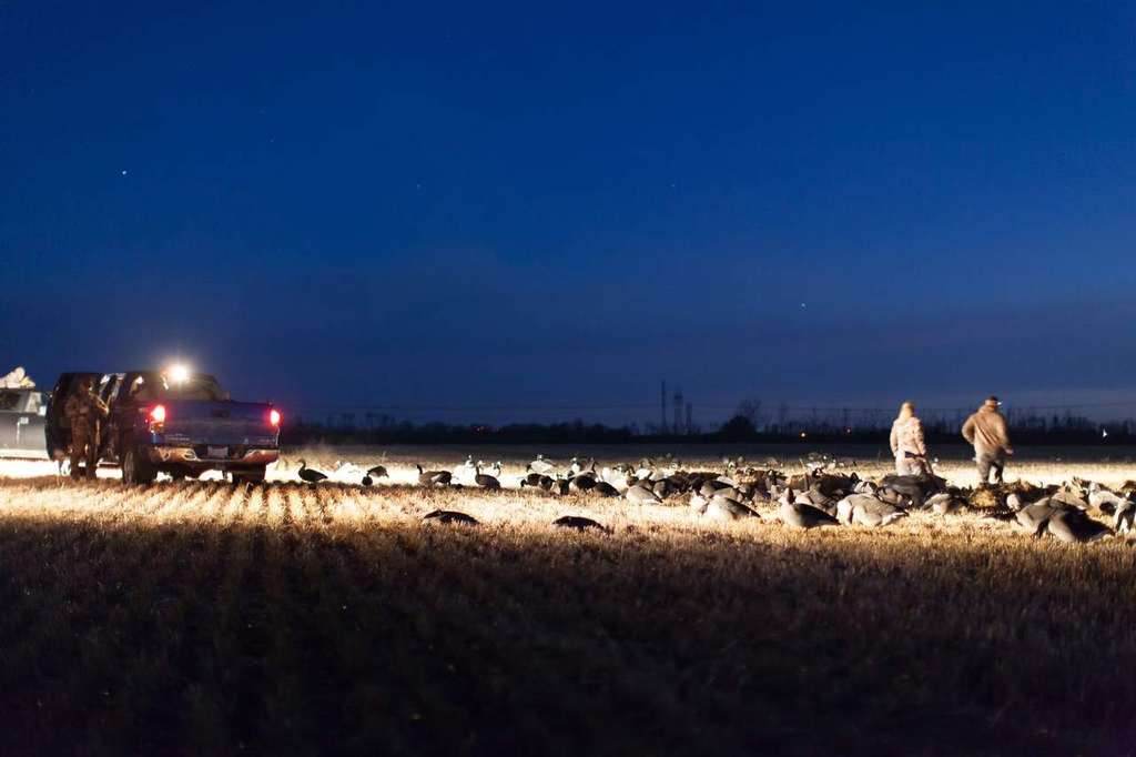 Stay Connected and Up to date! - Prairies Edge Outfitting Saskatchewan waterfowl blog