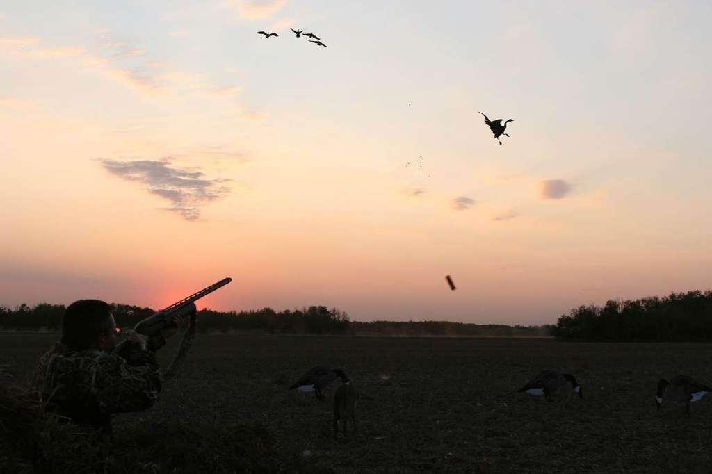 Book Your Hunt ASAP! - Prairies Edge Outfitting Saskatchewan waterfowl blog