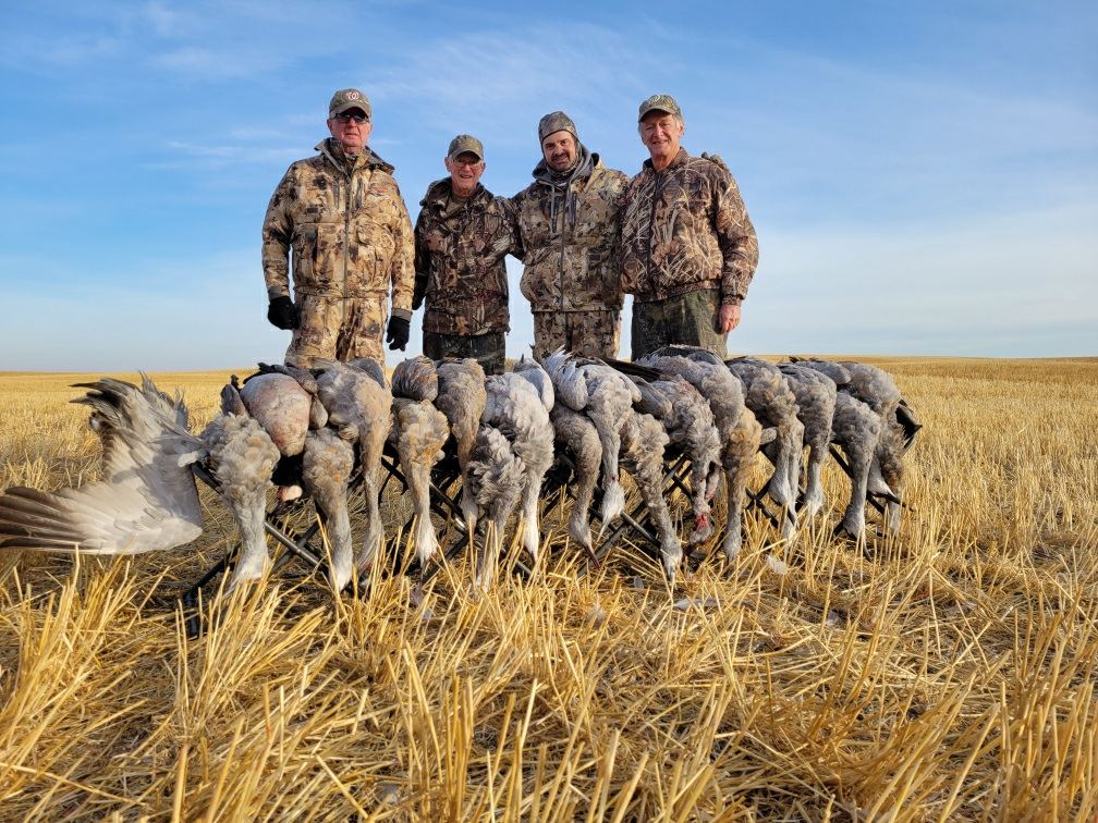 Sandhill crane group bag at the end of a Saskatchewan crane hunt - ribeye of the sky