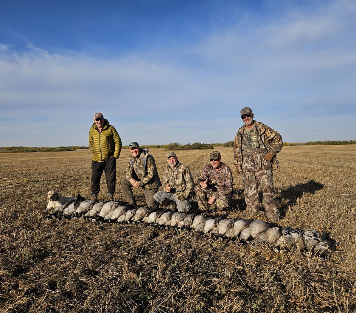 Five hunters with a row of sandhill cranes after a guided Saskatchewan crane hunt