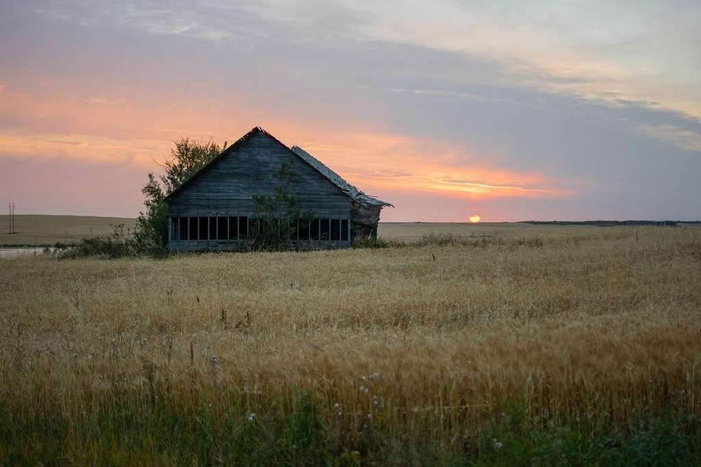 History Of Duck Hunting In Saskatchewan Canada - Prairies Edge Outfitting Saskatchewan waterfowl blog