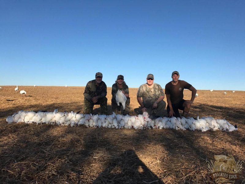 saskatchewan-duck-hunting-regulations-season-dates