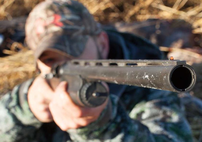 How To Declare Firearms When Coming To Hunt Saskatchewan