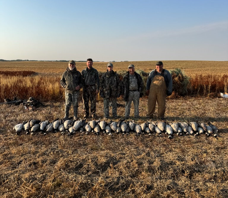 Hunt Geese In Fields Saskatchewan Hunt Geese In Fields Saskatchewan