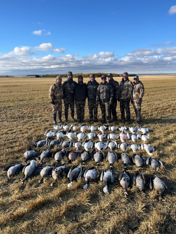 Goose Hunts In Saskatchewan Goose Hunts In Saskatchewan