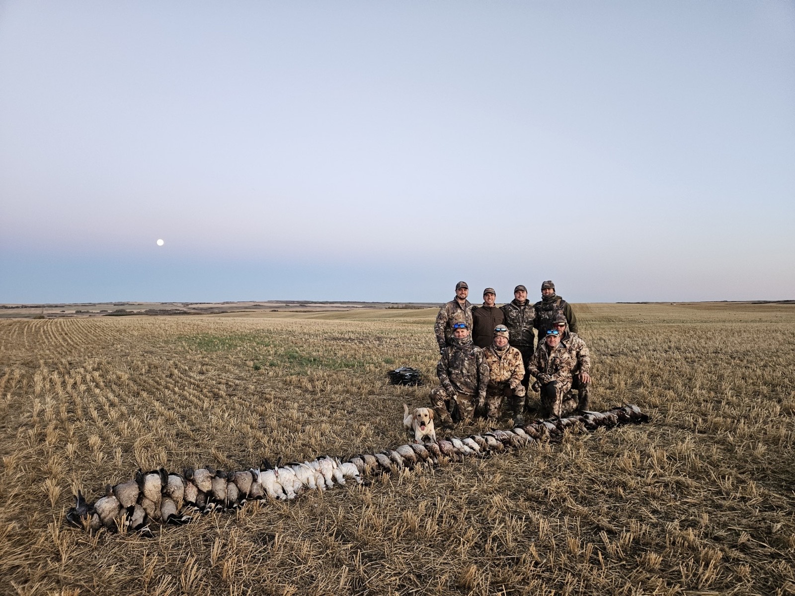 Combo Duck And Goose Hunts In Saskatchewan Combo Duck And Goose Hunts In Saskatchewan
