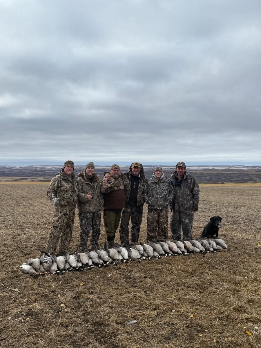Goose Hunts In Saskatchewan Goose Hunts In Saskatchewan