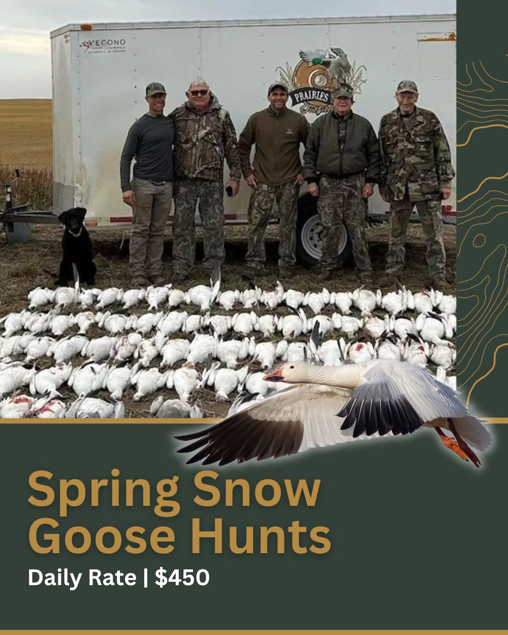 Spring Snow Goose Hunt Pricing Canada Spring Snow Goose Hunt Pricing Canada
